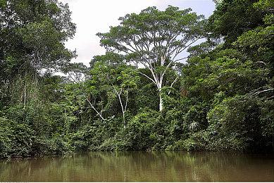 《云端朋克》PS5免费升级版发布 画质大幅提升